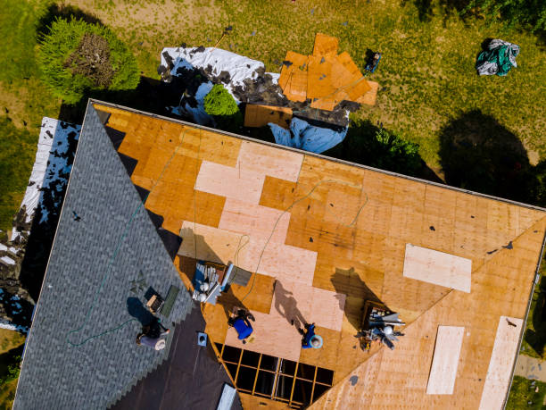 Best Metal Roofing Contractor  in Vienna, WV