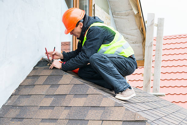Best Roof Gutter Cleaning  in Vienna, WV